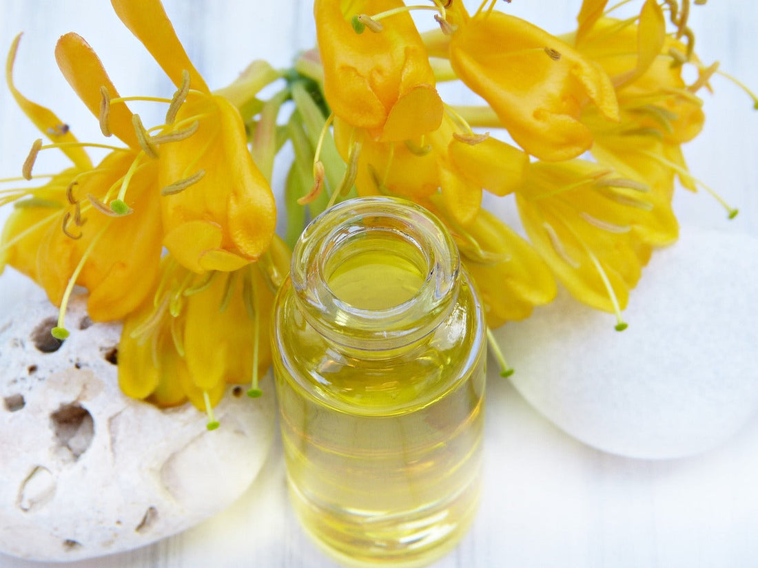 Bienfaits de l'Huile de Jojoba pour la peau et les cheveux