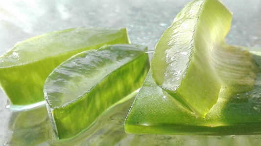 Gel d'Aloe Vera : Utilisations, bienfaits et recettes DIY à connaître